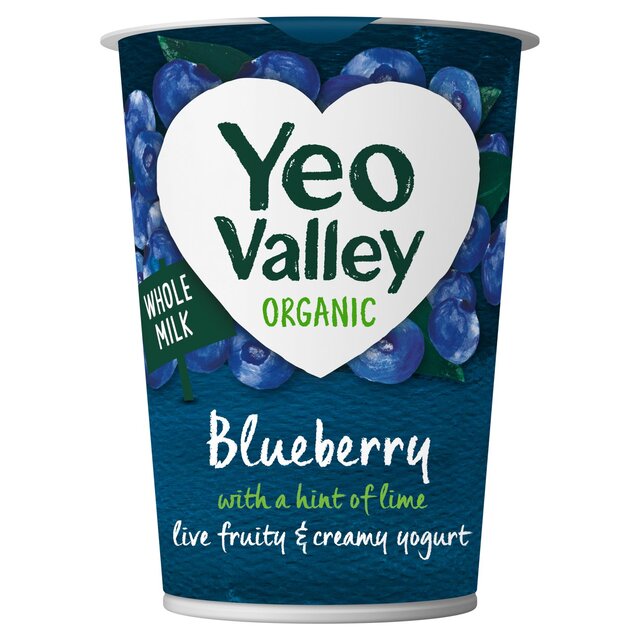 Yeo Valley Organic Blueberry Yoghurt with a Hint of Lime