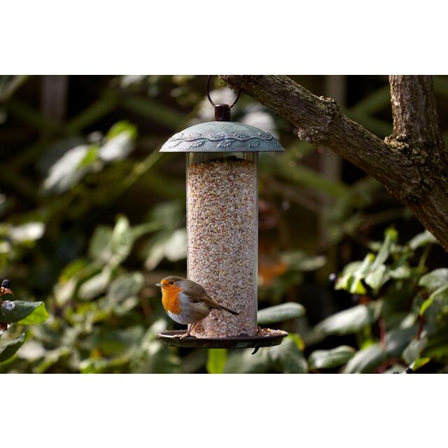 Peckish Secret Garden Seed Feeder thumbnail 2
