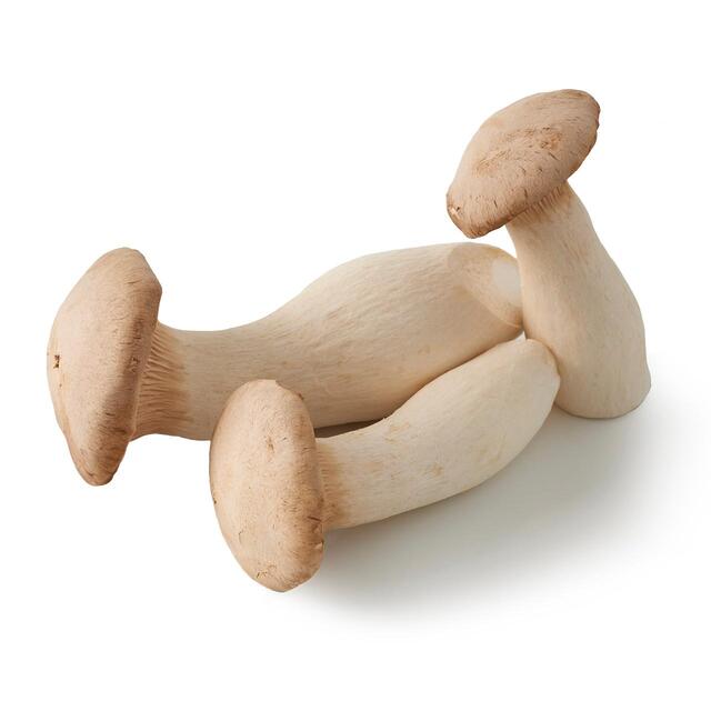 Natoora British Organic King Oyster Mushrooms