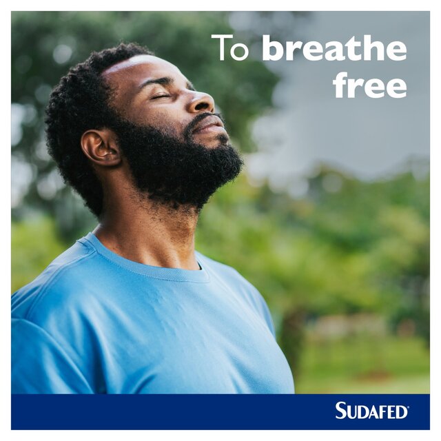 Sudafed Sinus Ease Nasal Spray thumbnail 6