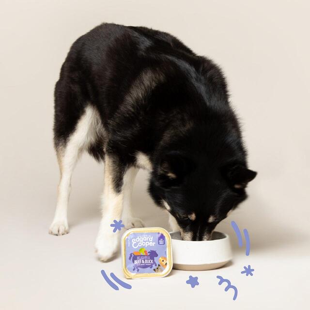 Edgard & Cooper Adult Grain Free Wet Dog Food with Beef & Duck thumbnail 5