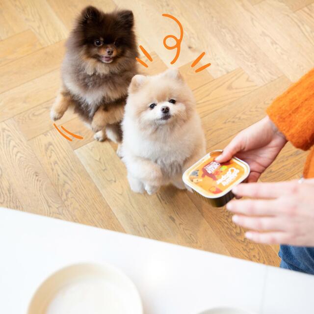 Edgard & Cooper Adult Grain Free Wet Dog Food with Chicken & Turkey thumbnail 6