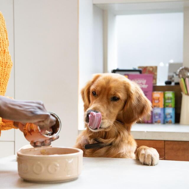 Edgard & Cooper Adult Grain Free Wet Dog Food with Chicken & Turkey thumbnail 6