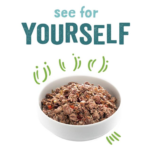 Edgard & Cooper Adult Grain Free Wet Dog Food with Lamb & Beef thumbnail 4