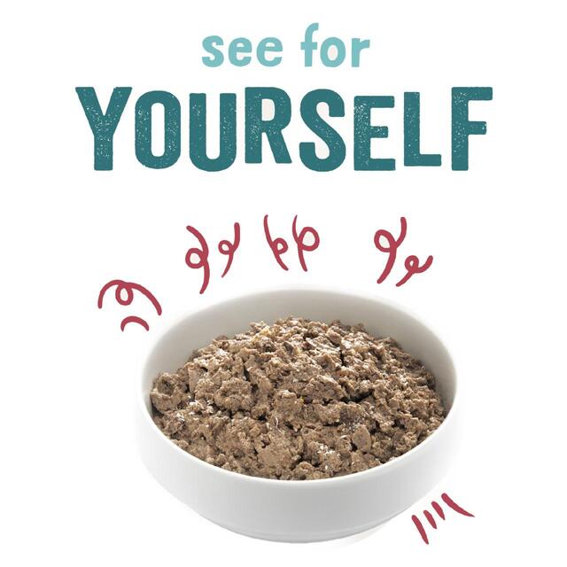 Edgard & Cooper Adult Grain Free Wet Dog Food with Organic Beef thumbnail 3