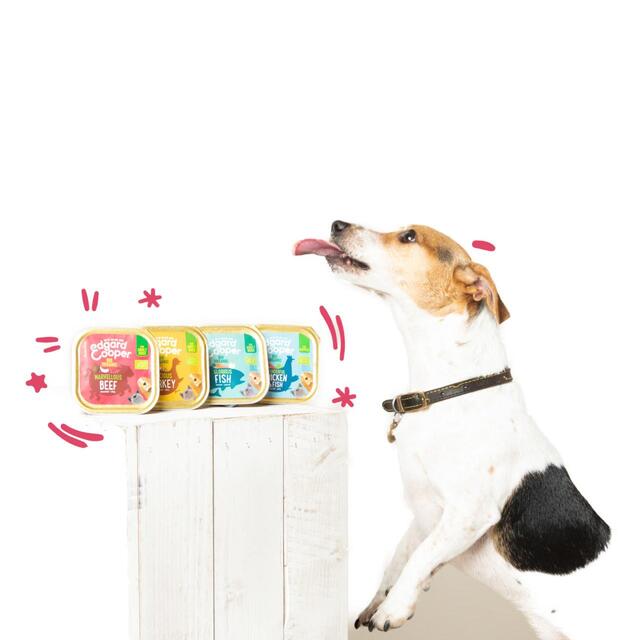 Edgard & Cooper Adult Grain Free Wet Dog Food with Organic Beef thumbnail 5