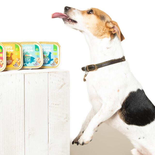 Edgard & Cooper Adult Grain Free Wet Dog Food with Organic Fish thumbnail 5