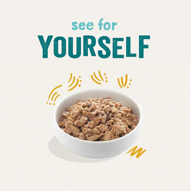 Edgard & Cooper Adult Grain Free Wet Dog Food with Organic Turkey thumbnail 3