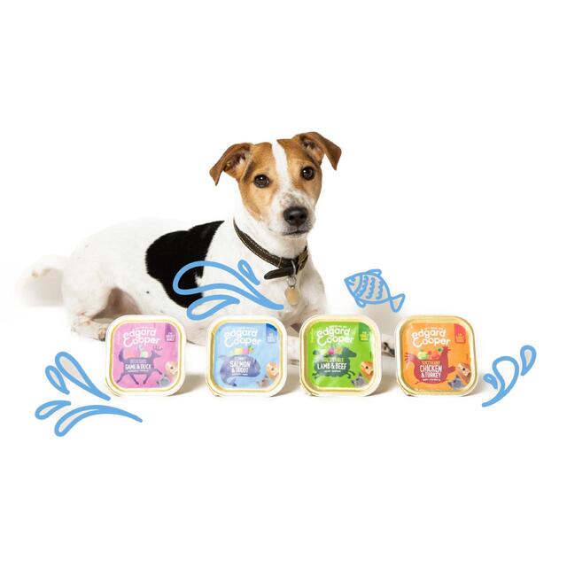 Edgard & Cooper Adult Grain Free Wet Dog Food with Salmon & Turkey thumbnail 4