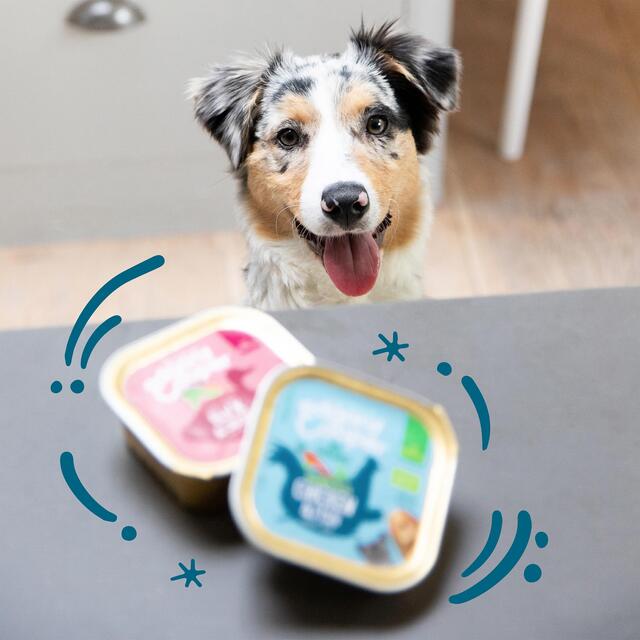 Edgard & Cooper Puppy Grain Free Wet Dog Food with Organic Chicken & Fish thumbnail 5