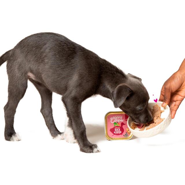 Edgard & Cooper Puppy Grain Free Wet Dog Food with Duck & Chicken thumbnail 6