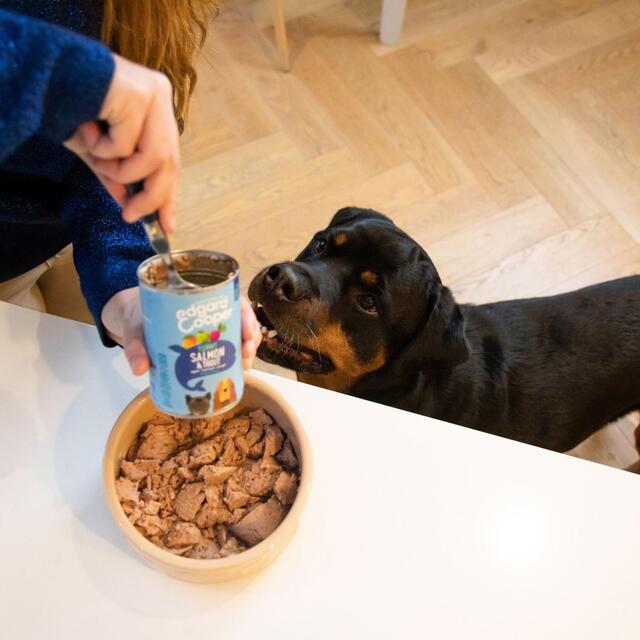 Edgard & Cooper Senior Grain Free Wet Dog Food with Chicken & Salmon thumbnail 5