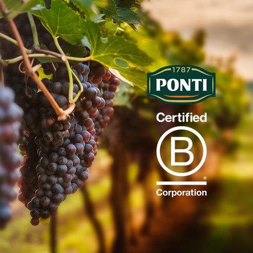 Ponti Organic Pitted Green Olives thumbnail 2