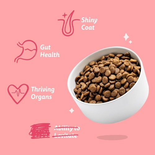 Edgard & Cooper Gluten Free Dry Dog Food Organic Beef & Free-Range Chicken thumbnail 3