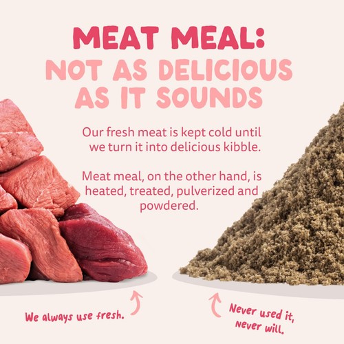 Edgard & Cooper Gluten Free Dry Dog Food Organic Beef & Free-Range Chicken thumbnail 4