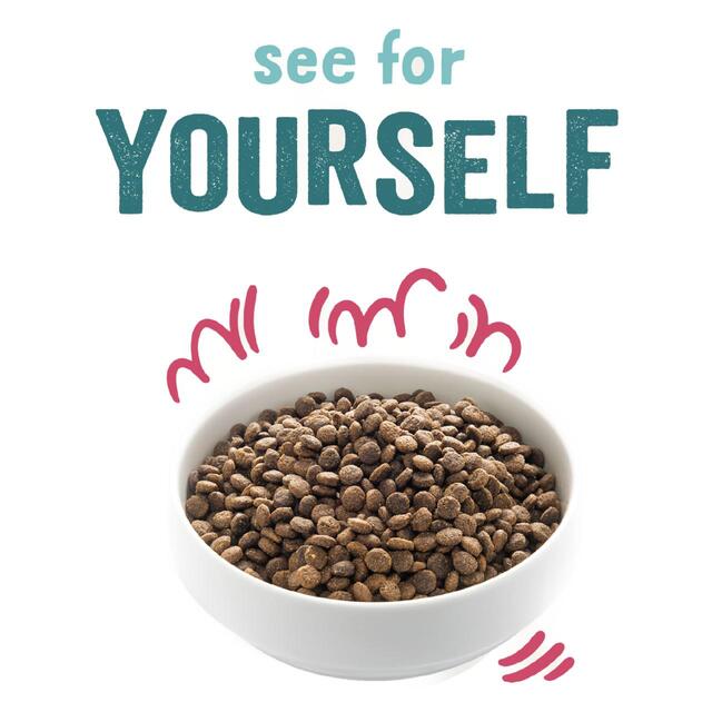 Edgard & Cooper Gluten Free Dry Dog Food Organic Beef & Free-Range Chicken thumbnail 3