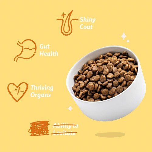 Edgard & Cooper Gluten Free Dog Food Organic Free-Range Turkey & Chicken thumbnail 3