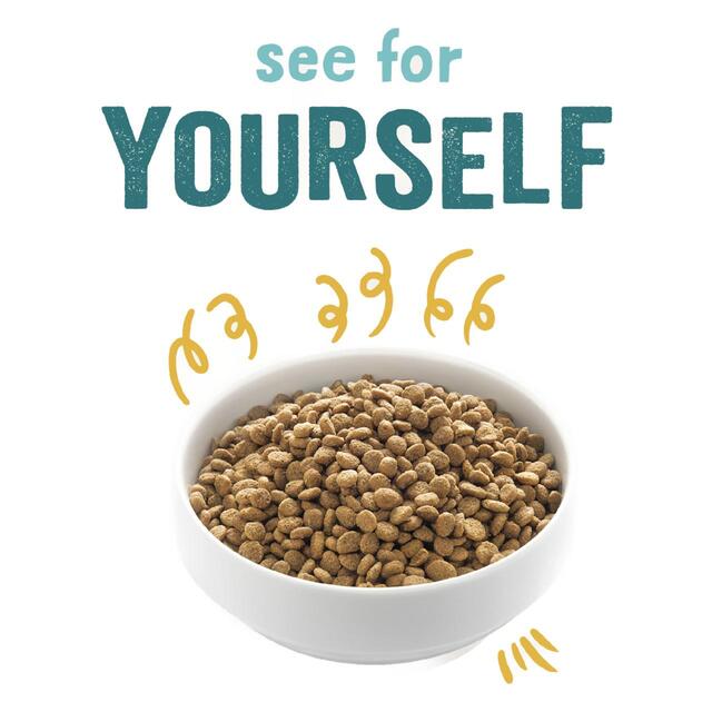 Edgard & Cooper Gluten Free Dog Food Organic Free-Range Turkey & Chicken thumbnail 3