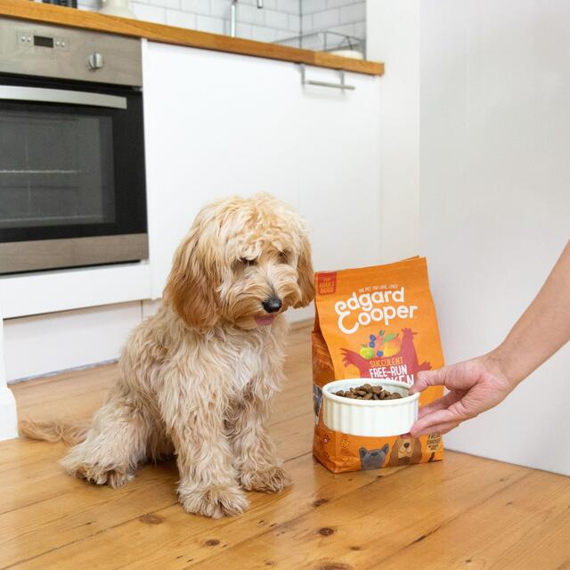 Edgard & Cooper Adult Grain Free Dry Dog Food with Fresh Free-Run Chicken thumbnail 7