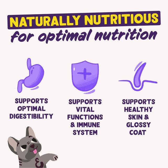 Edgard & Cooper Adult Grain Free Dry Dog Food with Fresh Norwegian Salmon thumbnail 5