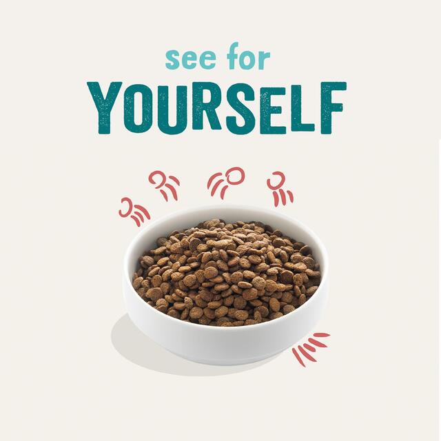 Edgard & Cooper Senior Grain Free Dry Dog Food Free-Run Chicken & Salmon thumbnail 3