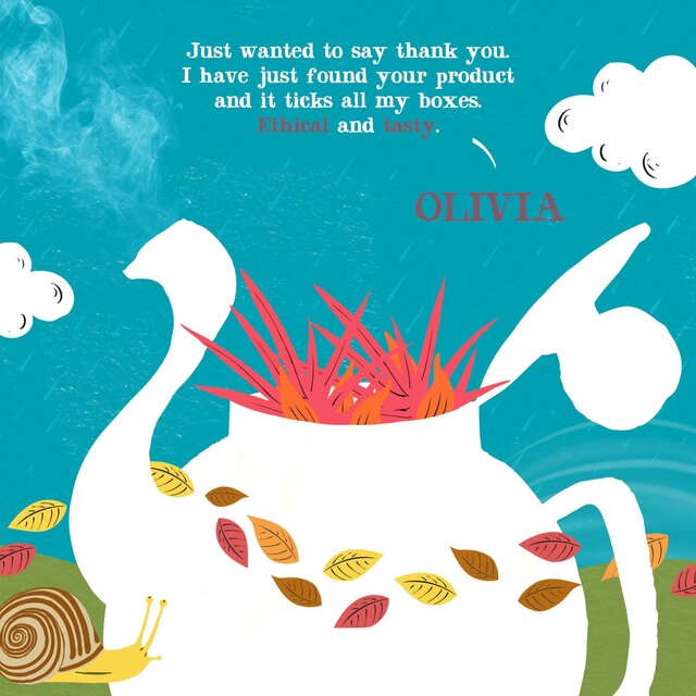 Clipper Organic Redbush Infusion Tea Bags thumbnail 10