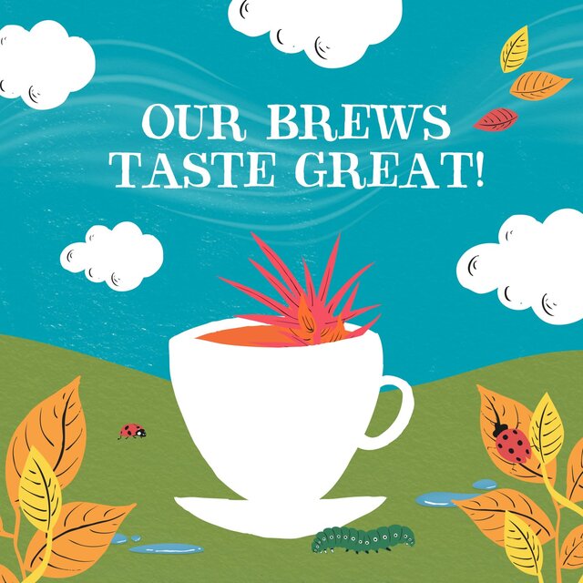 Clipper Organic Redbush Infusion Tea Bags thumbnail 7