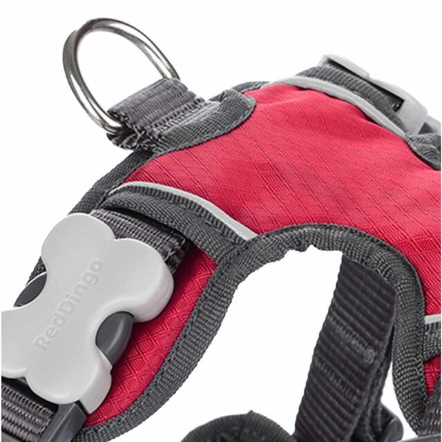 Red Dingo Red Padded Dog Harness Large thumbnail 2