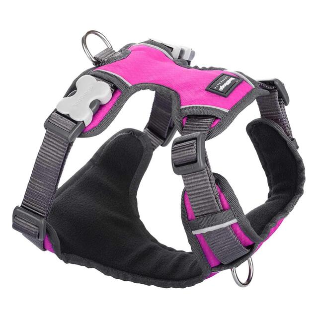 Red Dingo Hot Pink Padded Dog Harness Medium