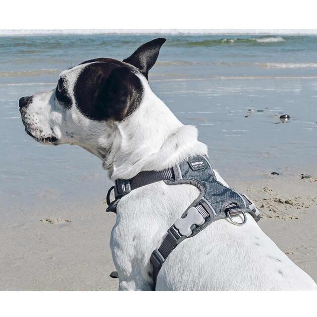 Red Dingo Cool Grey Padded Dog Harness thumbnail 4