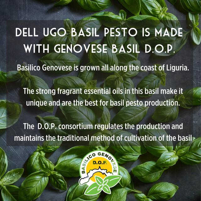 Dell'Ugo Fresh Basil Pesto thumbnail 3