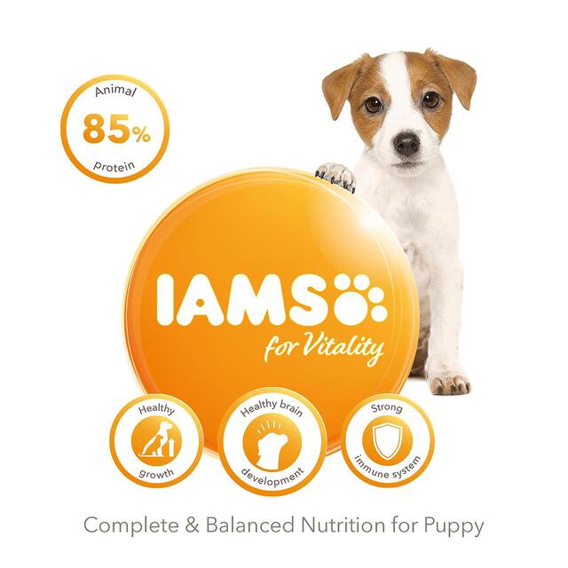 IAMS for Vitality Puppy Food Small/Medium Breed with Fresh Chicken thumbnail 2