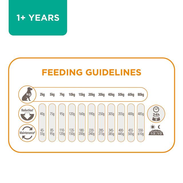 IAMS for Vitality Adult Dog Food Light in Fat With Fresh Chicken thumbnail 4