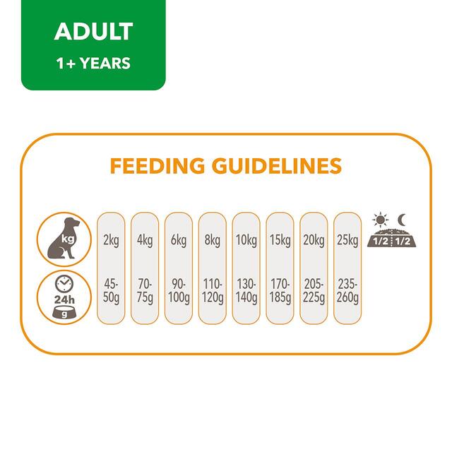 IAMS for Vitality Adult Dog Food  Small/Medium Breed With Fresh Chicken thumbnail 3