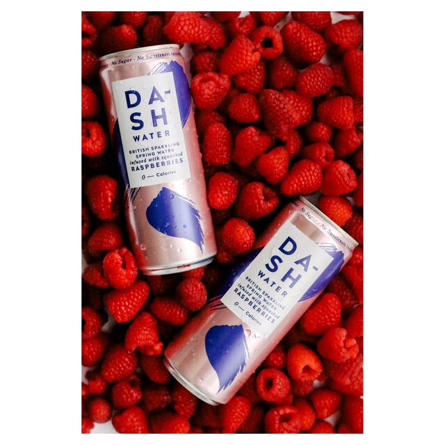 Dash Water Sparkling Raspberry thumbnail 2