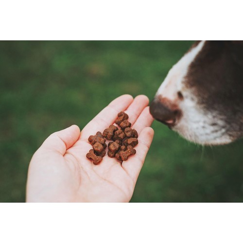 Clydach Farm Grain Free Poultry Dog Treats thumbnail 2