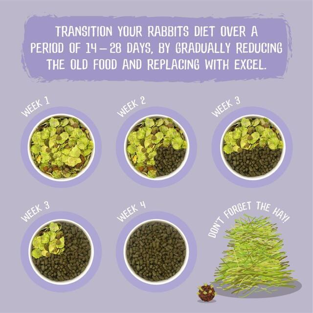 Burgess Excel Indoor Rabbit Nuggets thumbnail 4