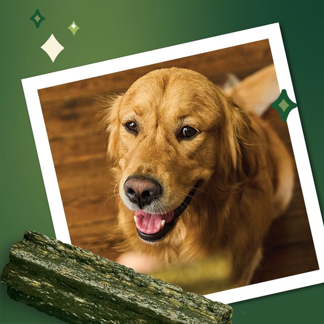 Lily's Kitchen Woofbrush Natural Daily Dental Chew Medium Dog Multipack thumbnail 2