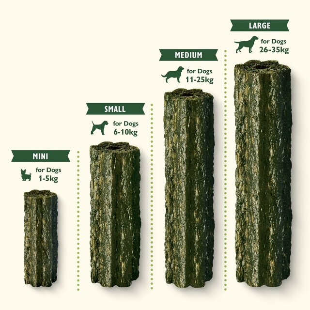 Lily's Kitchen Woofbrush Natural Daily Dental Chew Medium Dog Multipack thumbnail 5