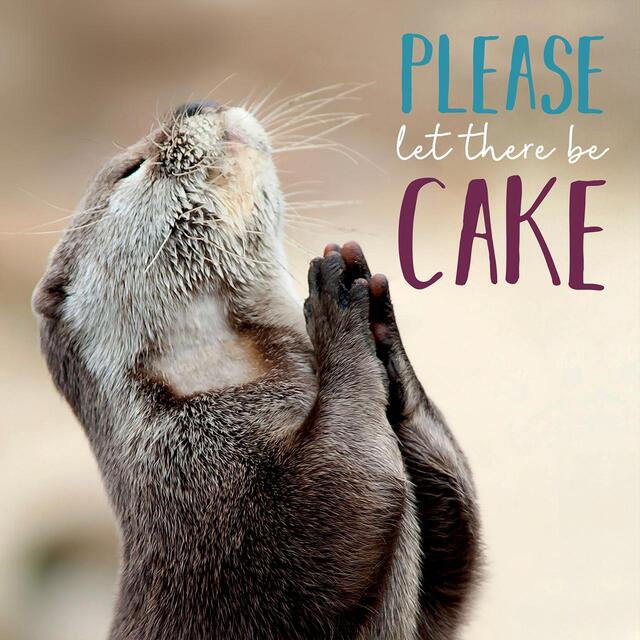 Please Let There Be Cake Birthday Card