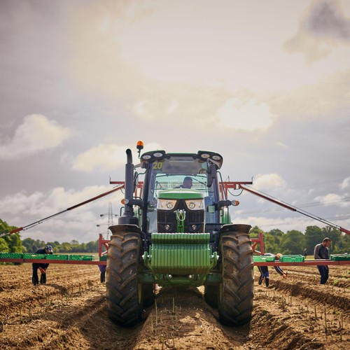 Barfoots Farming Forever Asparagus Spears thumbnail 3