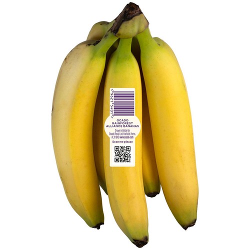 Ocado Rainforest Alliance Bananas thumbnail 3
