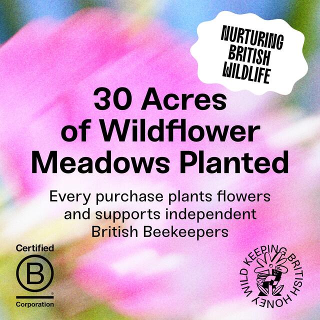 Black Bee Honey British Summer Runny Wildflower Honey thumbnail 5