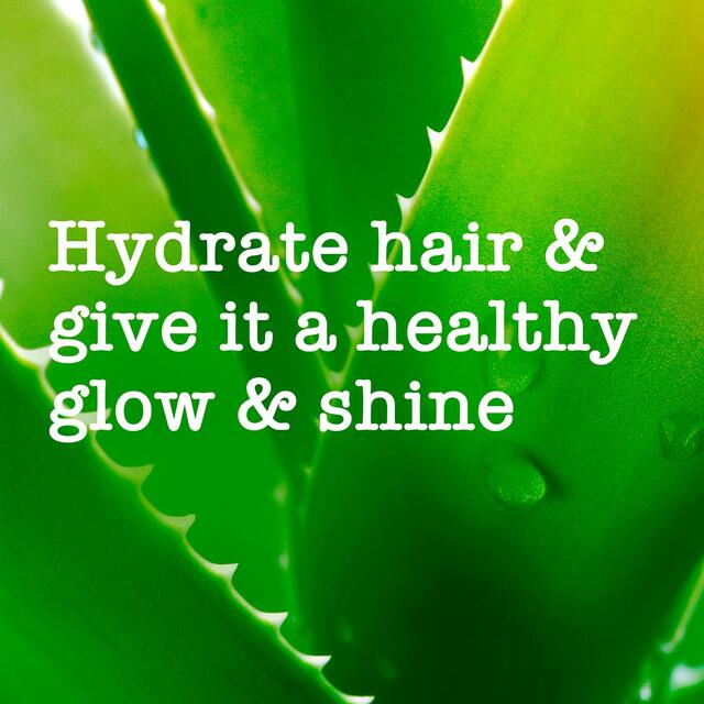 Maui Moisture Nourish & Moisture+ Coconut Milk Shampoo thumbnail 4