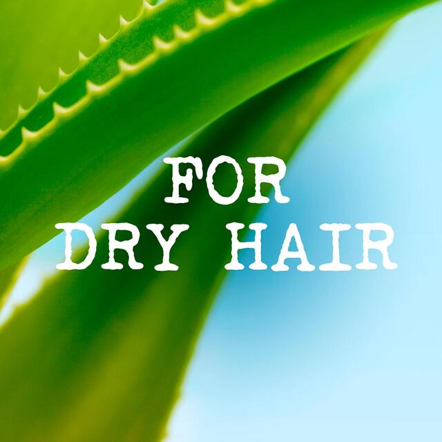 Maui Moisture Nourish & Moisture+ Coconut Milk Shampoo thumbnail 5