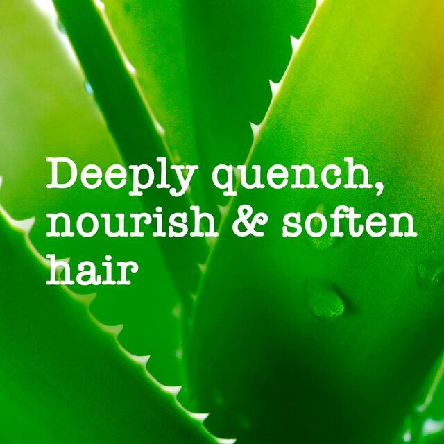 Maui Moisture Revive & Hydrate+ Shea Butter Shampoo thumbnail 4