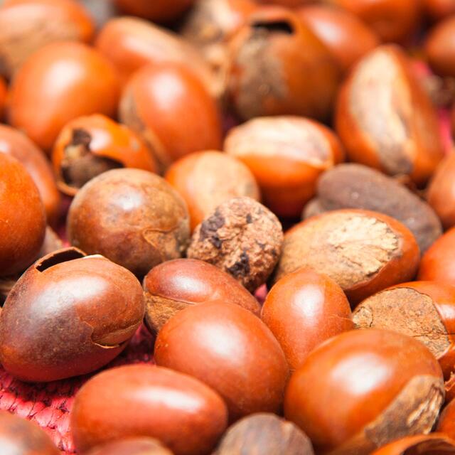 Maui Moisture Revive & Hydrate+ Shea Butter Shampoo thumbnail 6