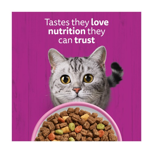 Whiskas 1+ Salmon Adult Dry Cat Food thumbnail 3