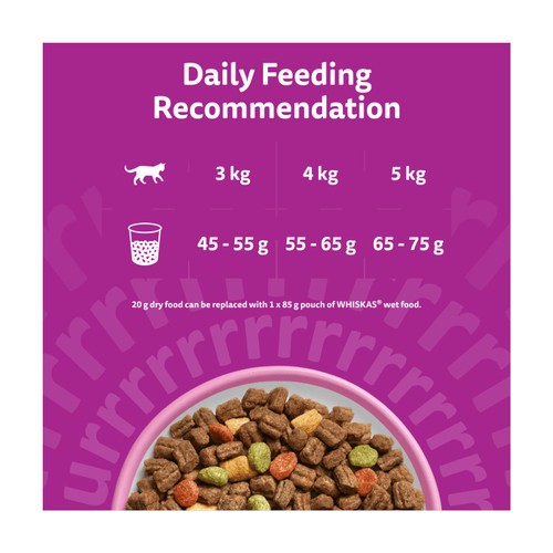 Whiskas 1+ Salmon Adult Dry Cat Food thumbnail 5