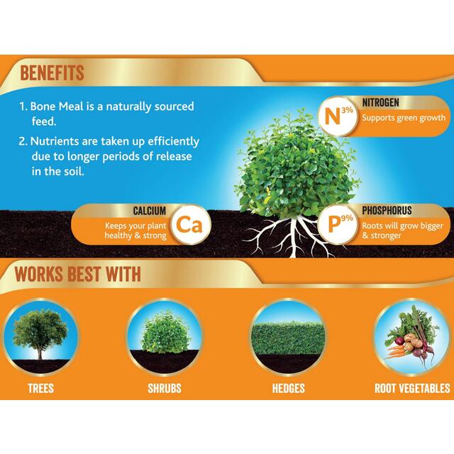 Westland Bonemeal Root Builder, 1.5 kg thumbnail 2